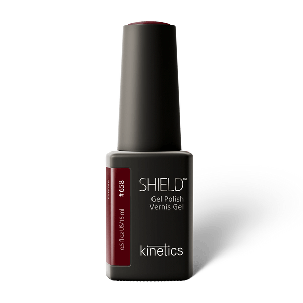 KINETICS GEL COLOR 15ml #658 explore