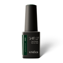 Load image into Gallery viewer, KINETICS GEL COLOR 15ml #665 emerald
